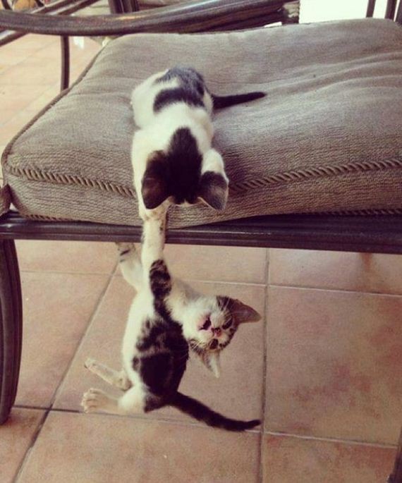 funny-pictures-1107