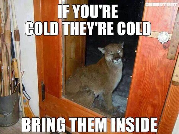 funny-pictures-1107