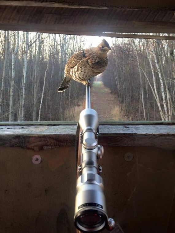 funny-pictures-1107