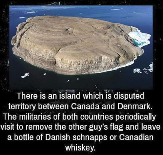 funny-pictures-1107