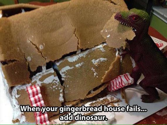 funny-pictures-1107