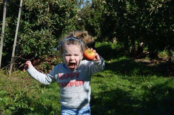 funny-pictures-1108