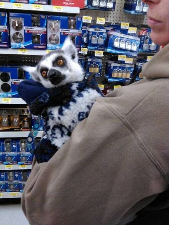 funny-pictures-1108