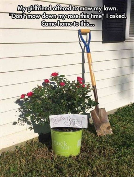 funny-pictures-1109