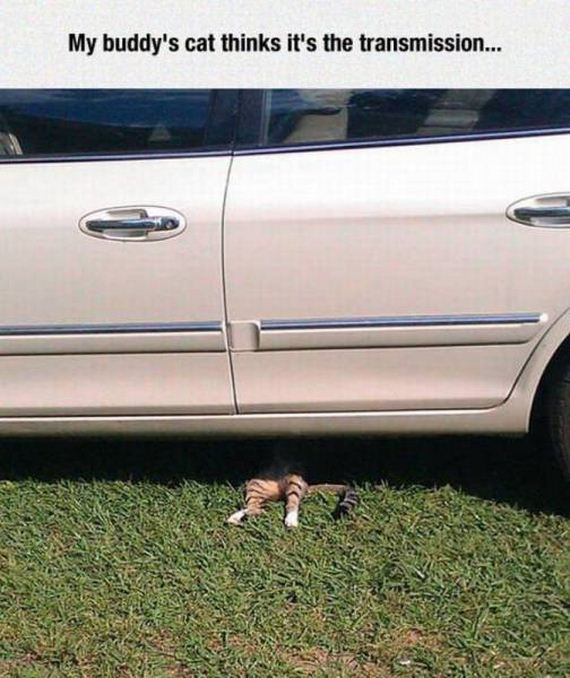 funny-pictures-1109