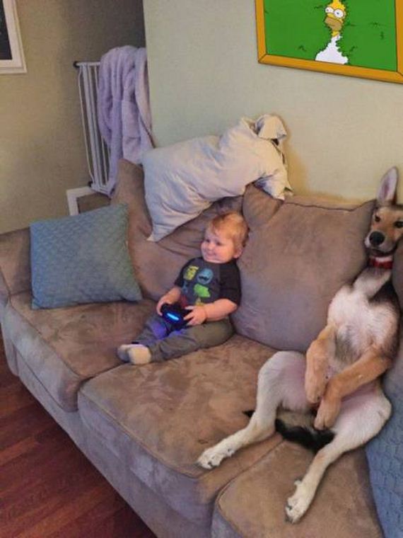 funny-pictures-1109