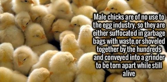 interesting_facts-11