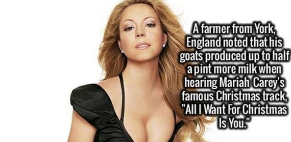 interesting_facts-11