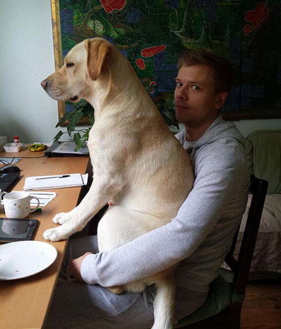 mans_best_friend