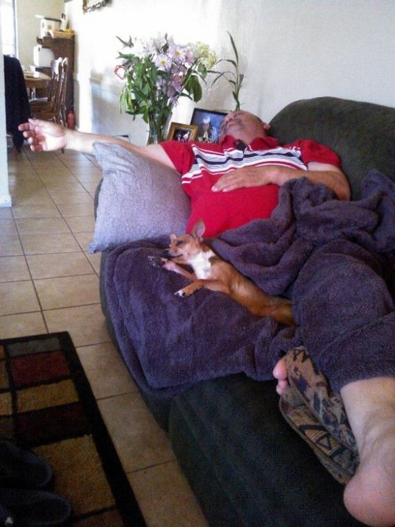 mans_best_friend