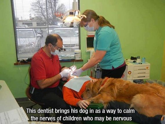mans_best_friend