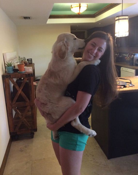 mans_best_friend