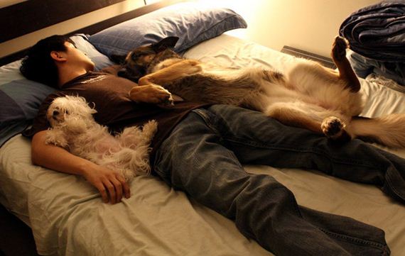 mans_best_friend