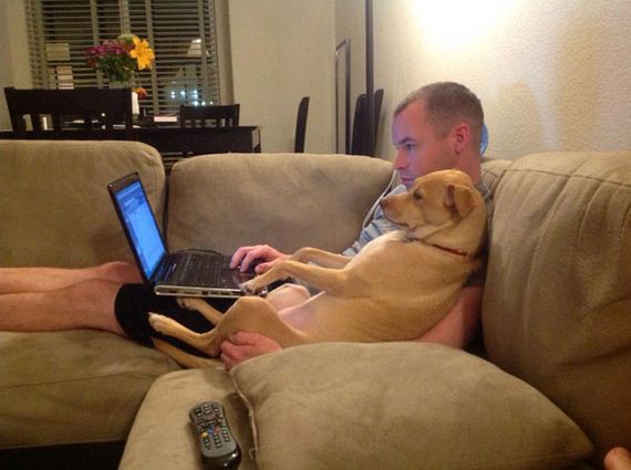 mans_best_friend