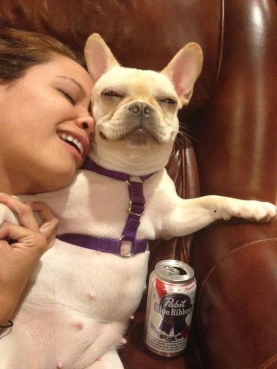 mans_best_friend