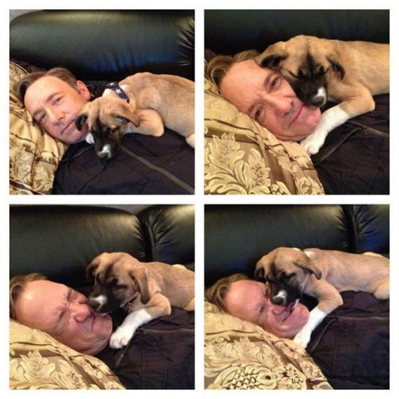 mans_best_friend
