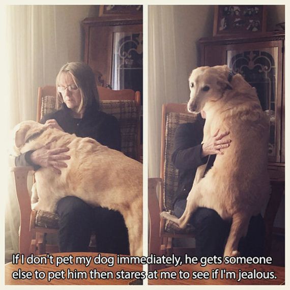 mans_best_friend