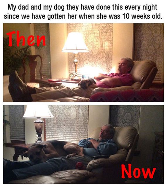 mans_best_friend