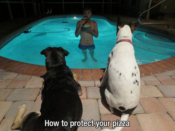mans_best_friend