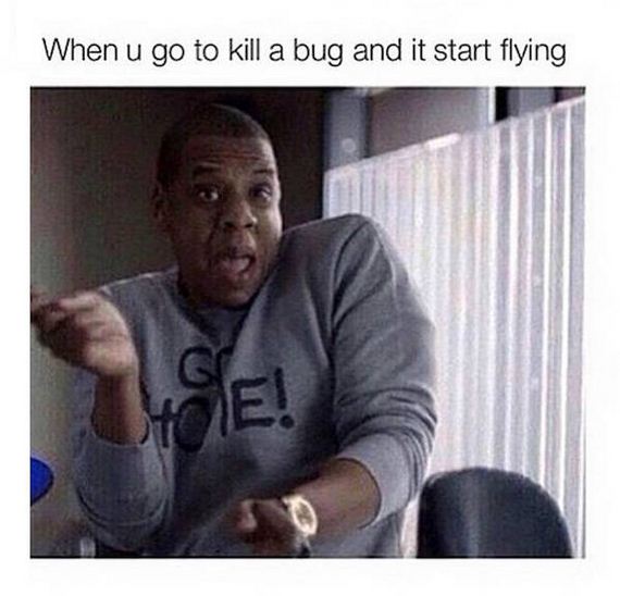 meme-stream