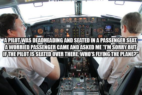 Flight-Attendants