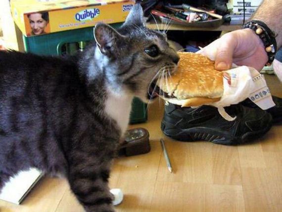 Hungry-Yet