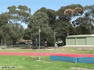 Thats-Impressive