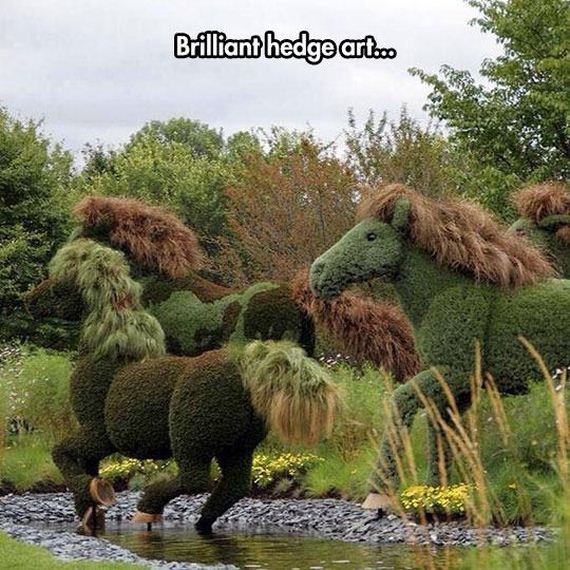 Thats-Impressive
