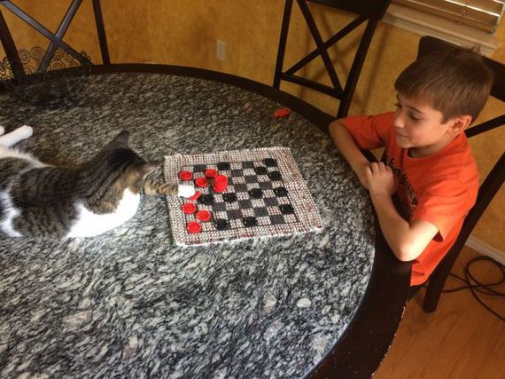 cat-saturday-26-photos