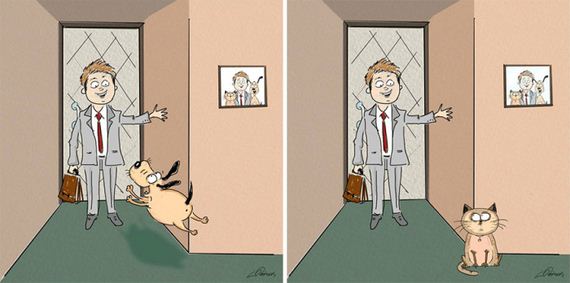 cats_vs_dogs