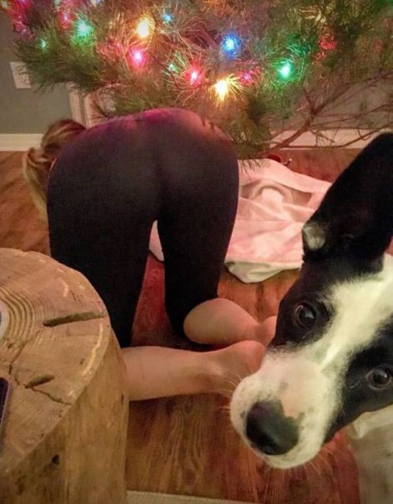 funny-merry-christmas-chie-thechive
