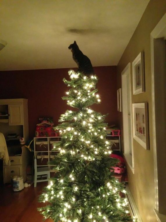 funny-merry-christmas-chie-thechive