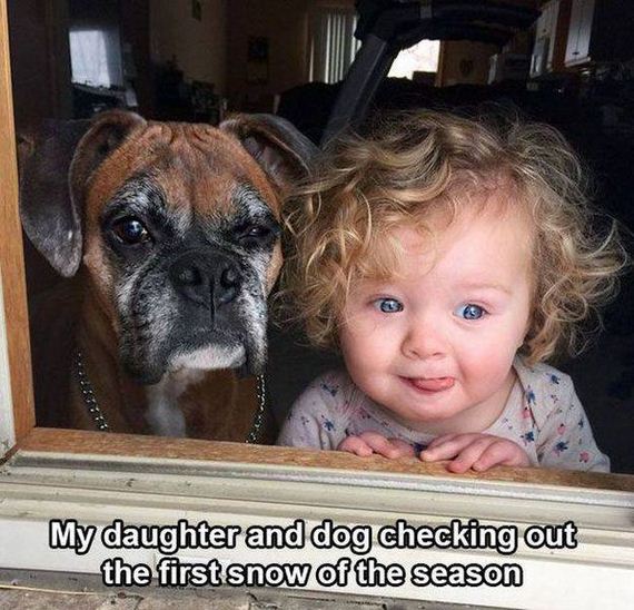 funny-pictures-1111