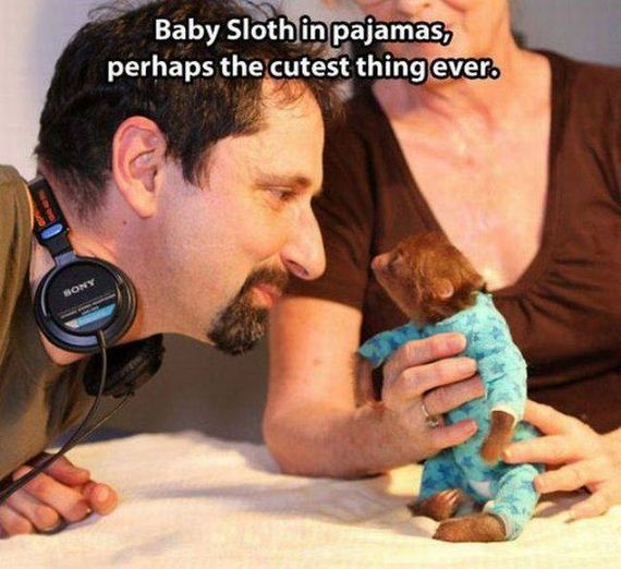 funny-pictures-1111
