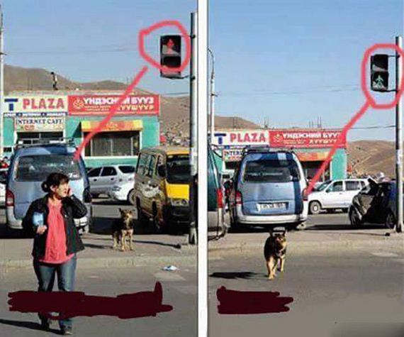 funny-pictures-1113