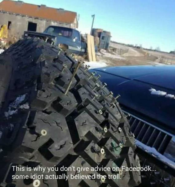 funny-pictures-1113