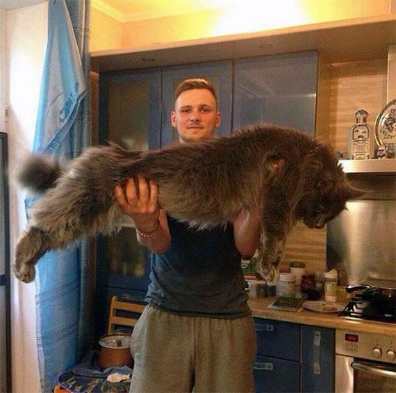 funny-pictures-1113