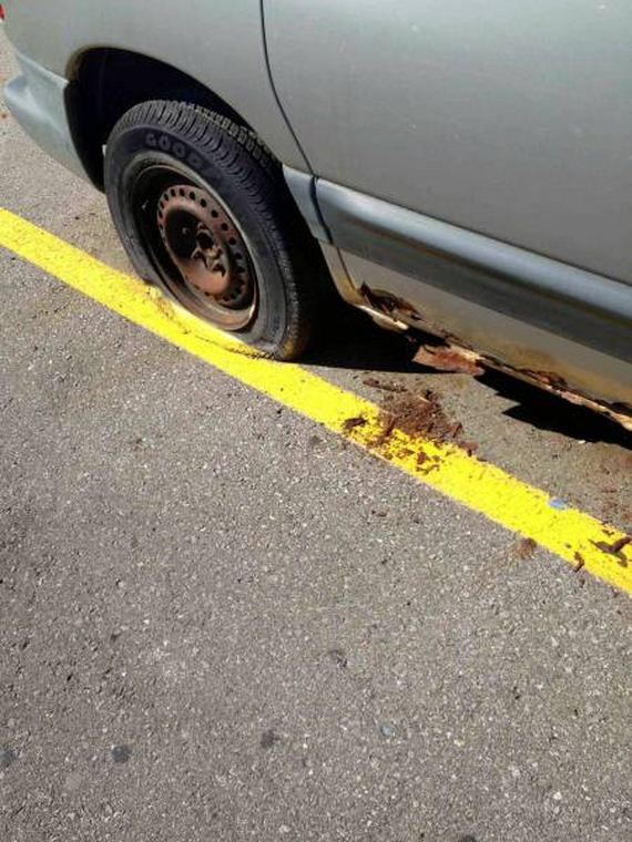 funny-pictures-1113