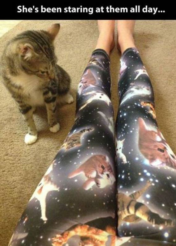 funny-pictures-1114