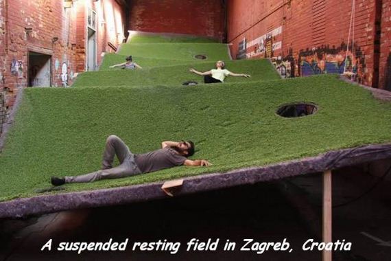 funny-pictures-1116