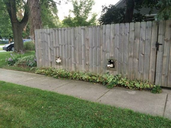 funny-pictures-1116