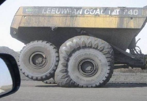 funny-pictures-1116