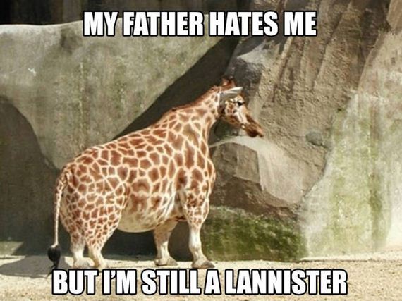 funny-pictures-1116