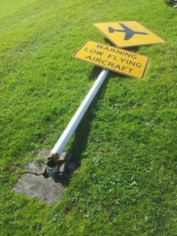 funny-pictures-1116