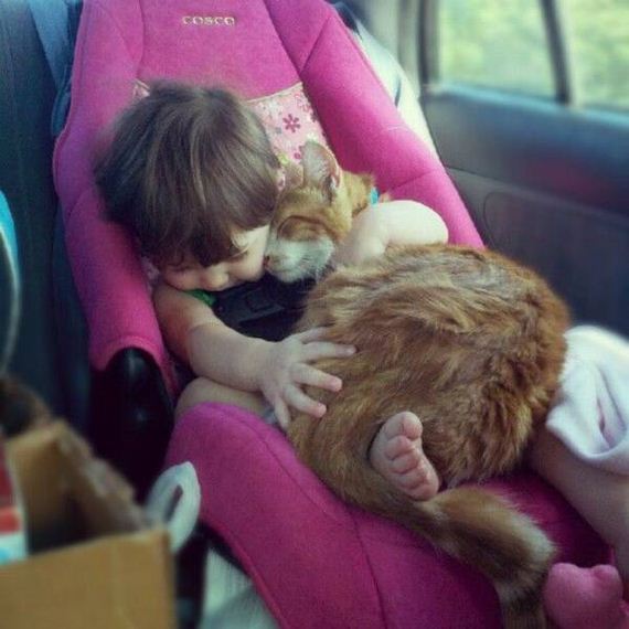 funny-pictures-1116