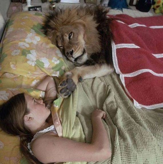 funny-pictures-1116
