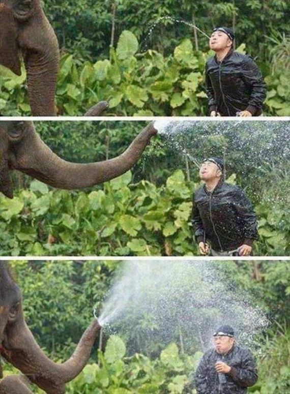 funny-pictures-1116