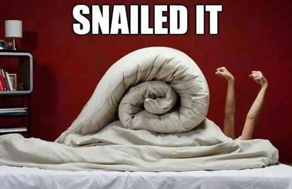 funny-pictures-1117