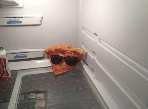 funny-pictures-1117