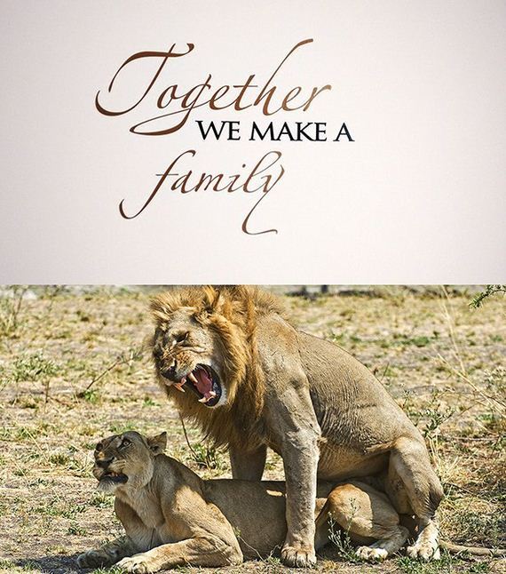 funny-pictures-1117